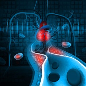 as doenças cardiovasculares